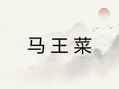 马王菜