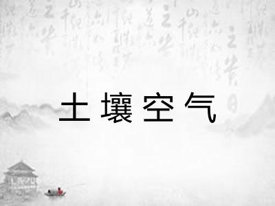 土壤空气
