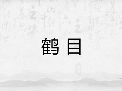 鹤目