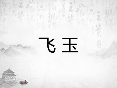 飞玉