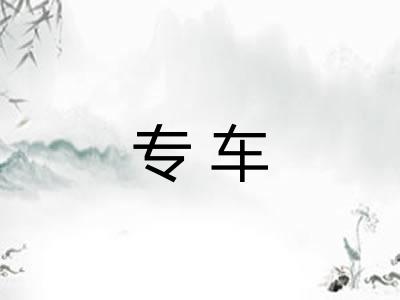 专车