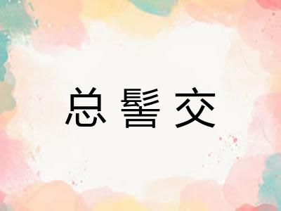 总髻交