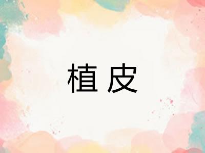植皮