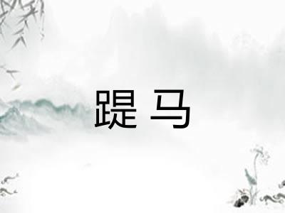踶马