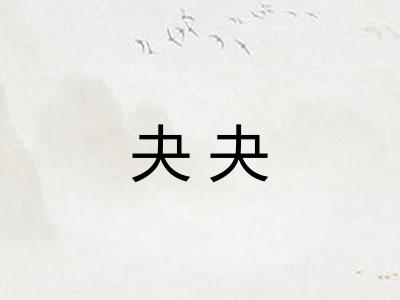 夬夬