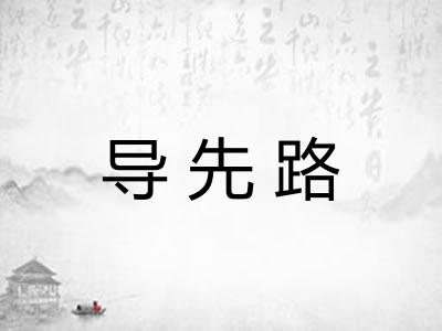 导先路