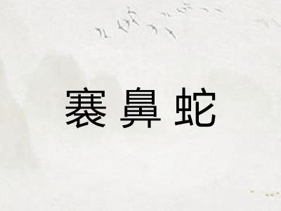 褰鼻蛇