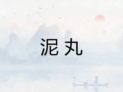 泥丸