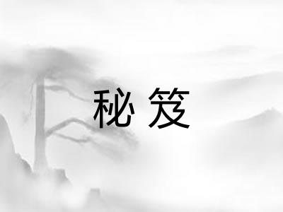 秘笈