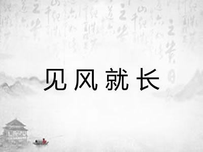 见风就长