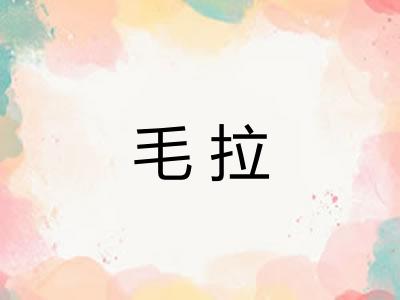 毛拉