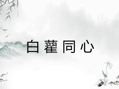 白藋同心