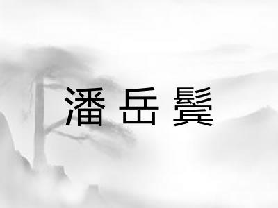 潘岳鬓