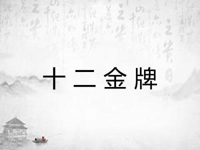十二金牌
