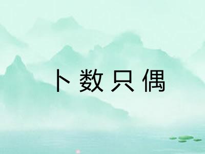 卜数只偶