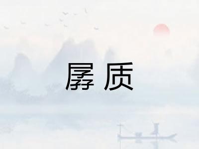 孱质