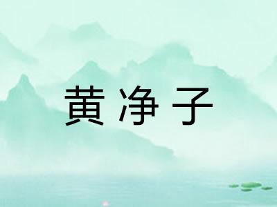 黄净子