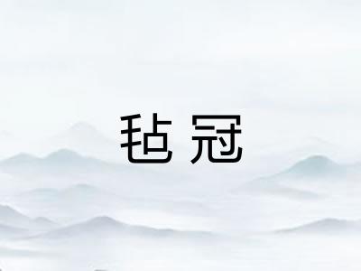 毡冠