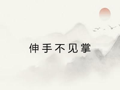 伸手不见掌