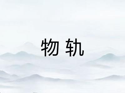 物轨