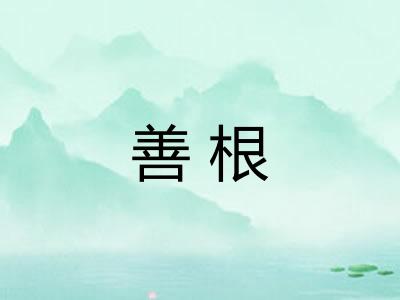 善根