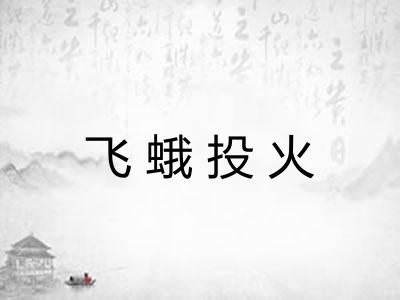 飞蛾投火