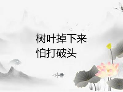 树叶掉下来怕打破头