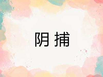 阴捕
