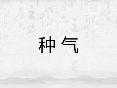 种气