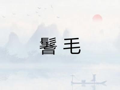 鬐毛