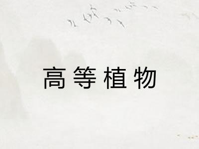 高等植物