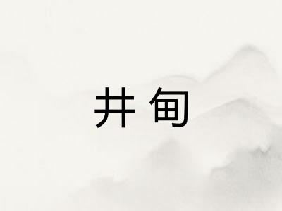 井甸