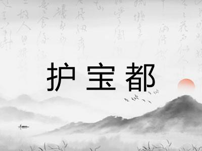 护宝都