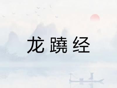 龙蹺经