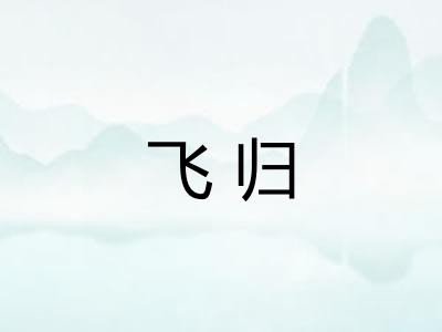 飞归
