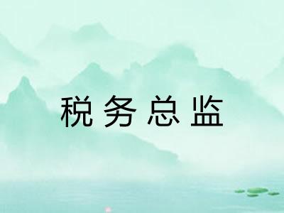 税务总监