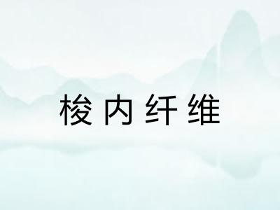梭内纤维