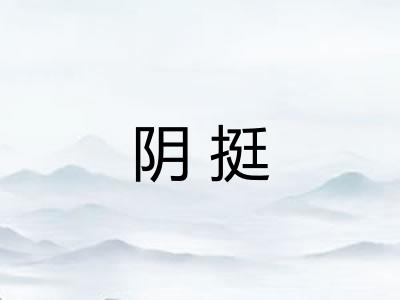 阴挺