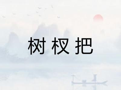 树杈把