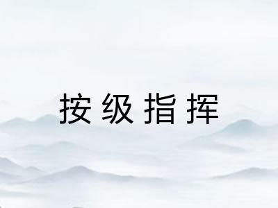 按级指挥