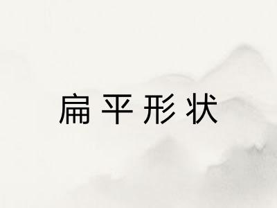 扁平形状