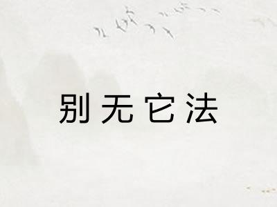 别无它法