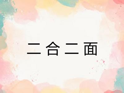 二合二面