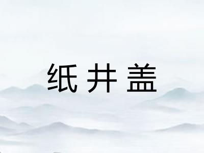 纸井盖