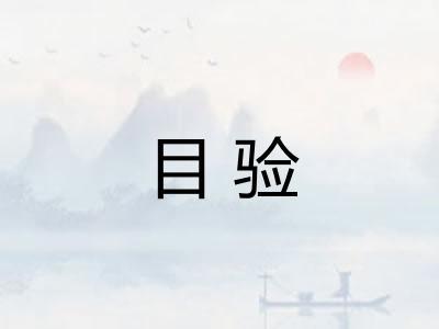目验