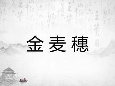 金麦穗