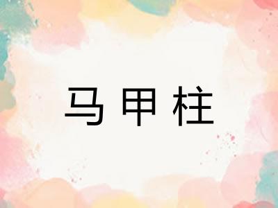 马甲柱