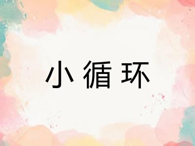 小循环