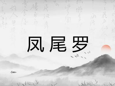 凤尾罗