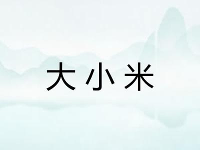 大小米
